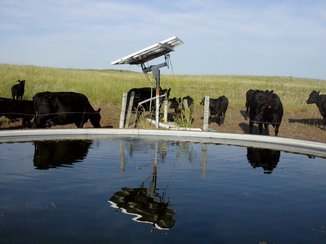 Solar-Powered Water Pumps for Livestock